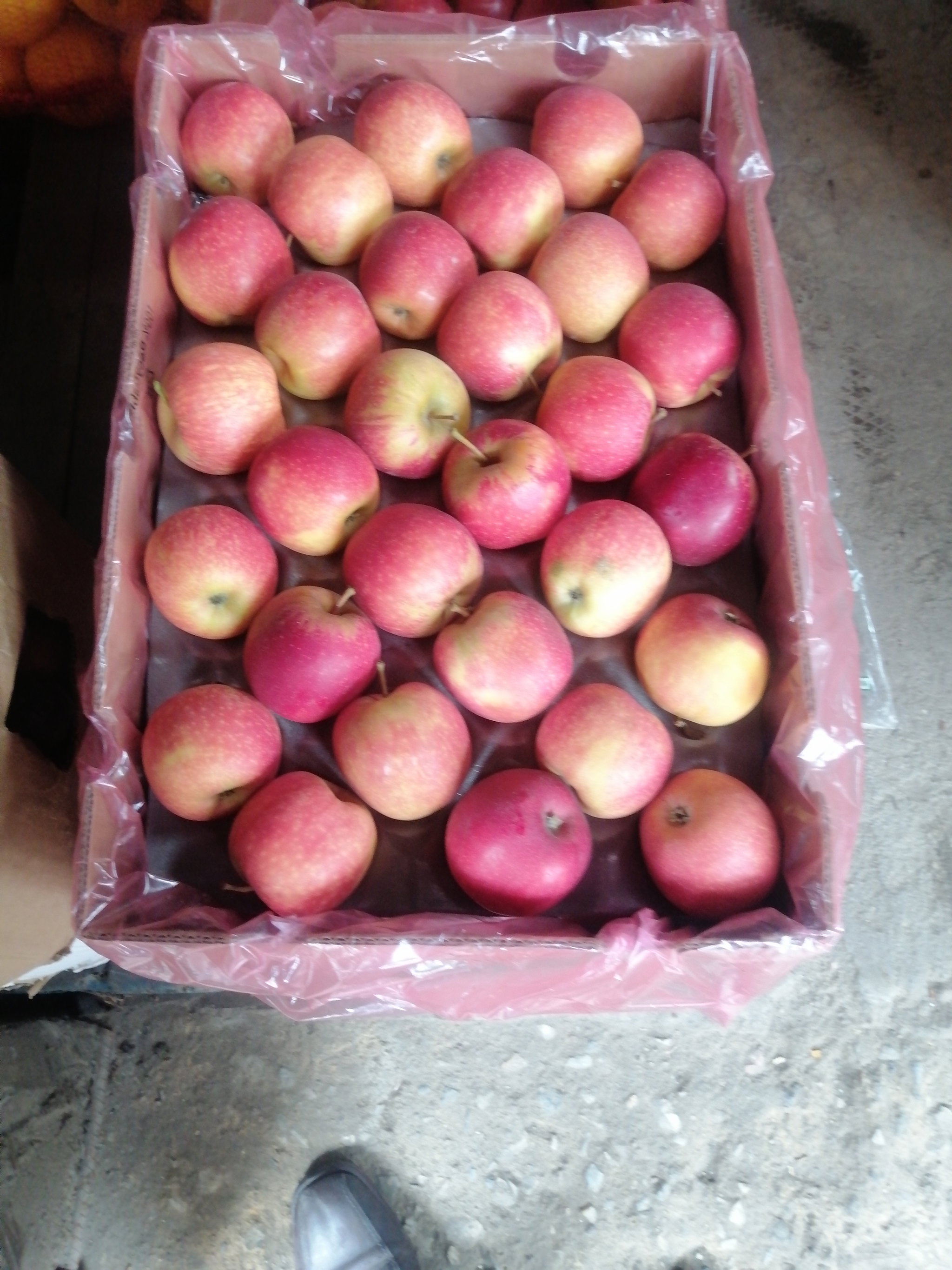 Red Apples/Box_1