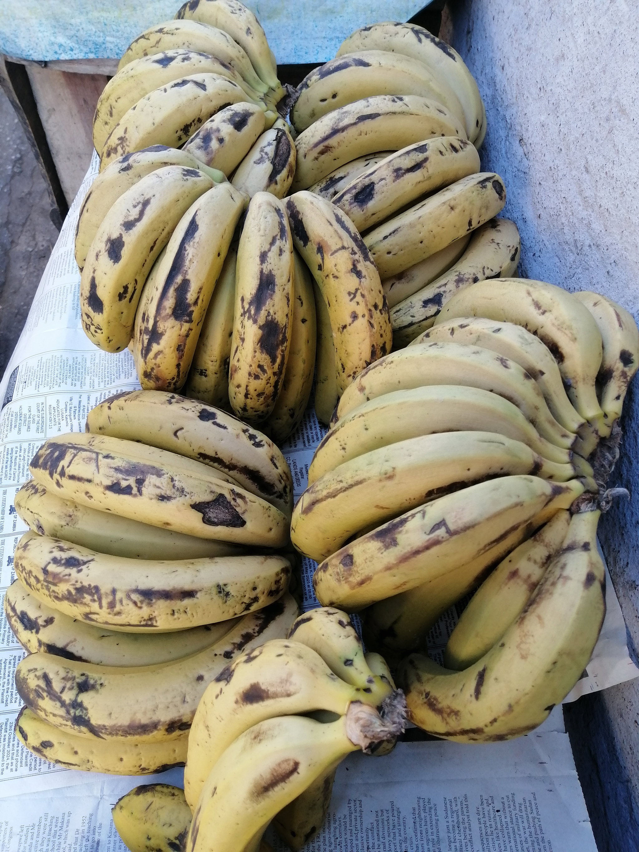 Bananas/Kg _0