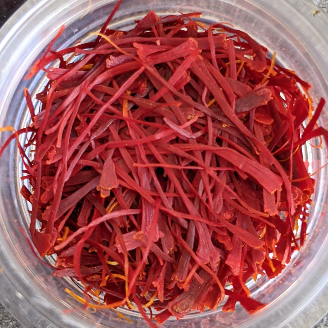 Kashmiri Mongra Saffron_1