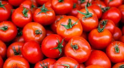 الفواكه والخضروات / FRUITS & VEGETABLES 