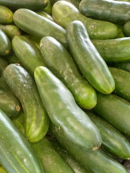Cucumbers/Kg
