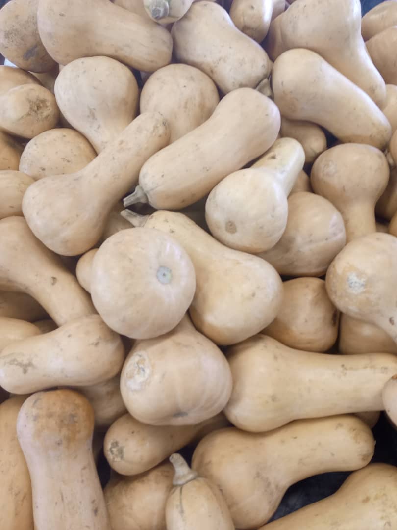 Butternut/Kg