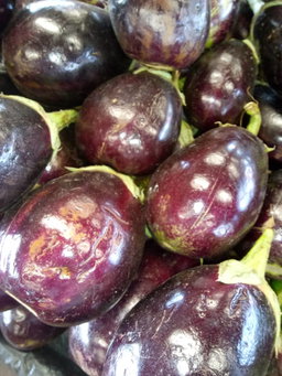 Egg Plants/Kg