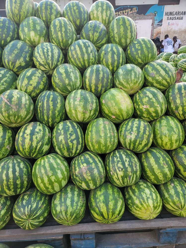 Watermelon/Each _0