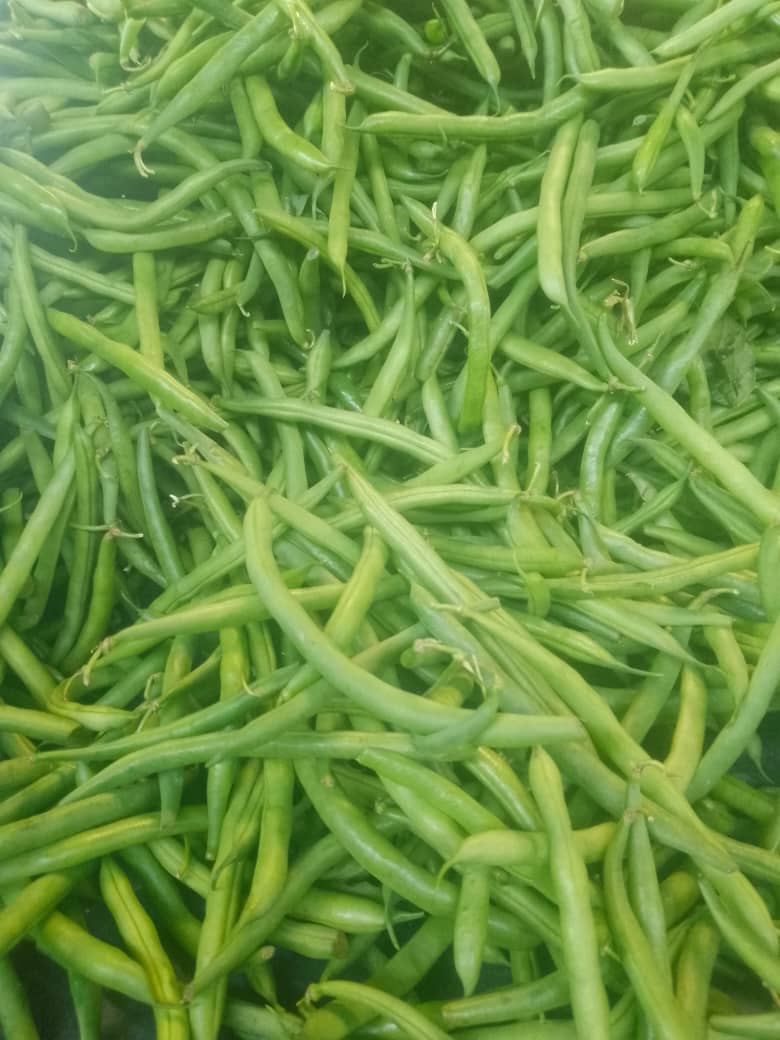 Green beans/Kg_1