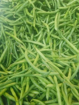 Green beans/Kg