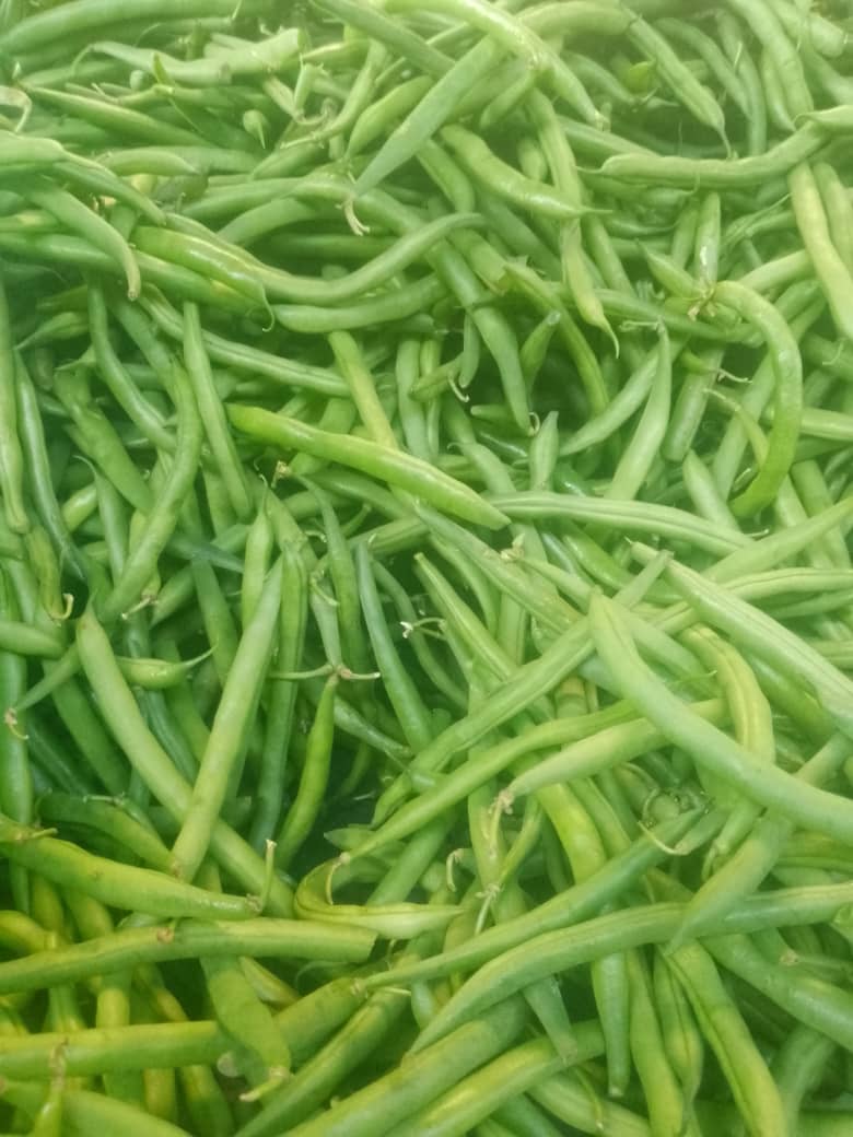 Green beans/Kg_0