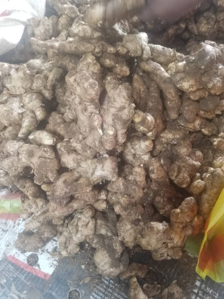 Ginger/Kg_0