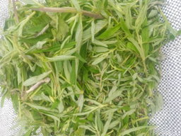 Kalembula/Heap 