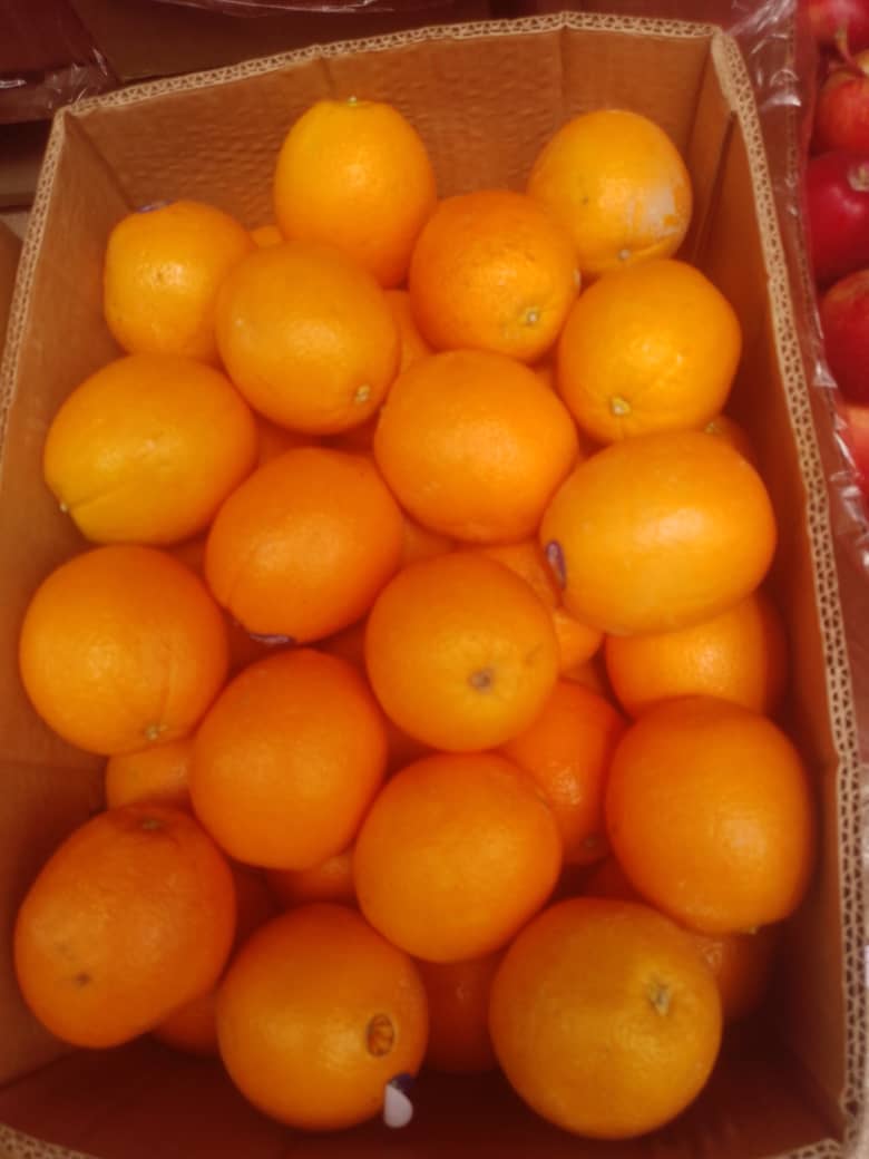 Oranges/Box _0
