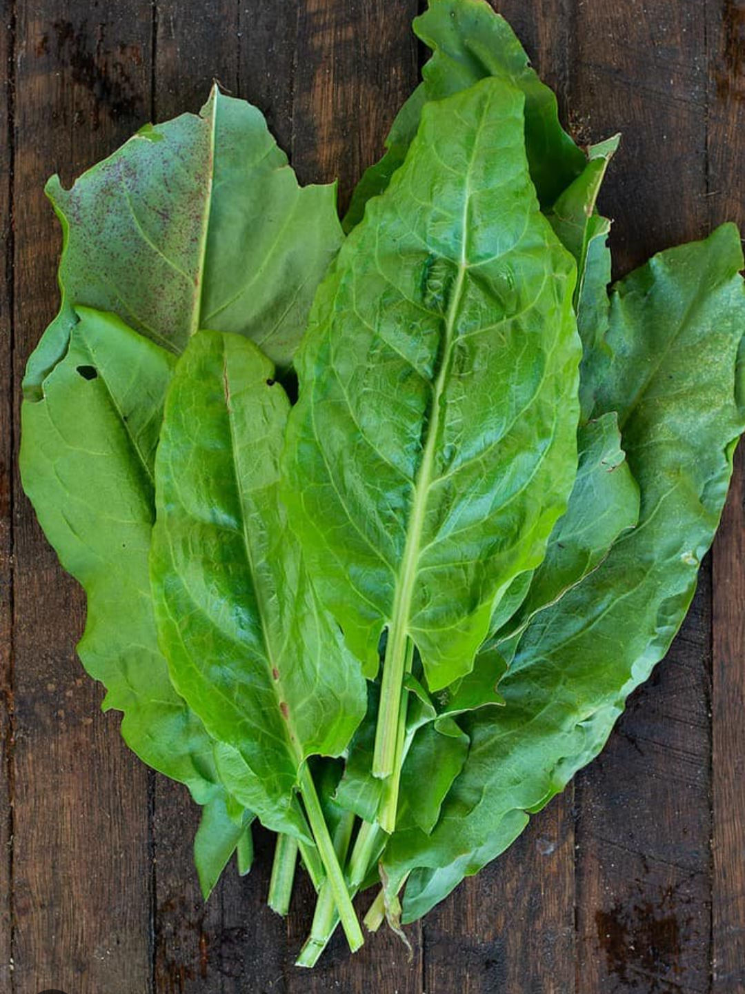 spinach 