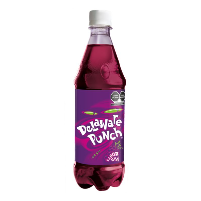 Refresco Delaware Punch 600ml