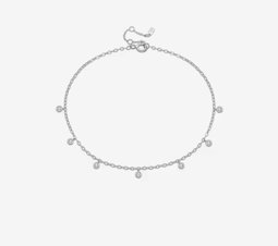 Silver charm 