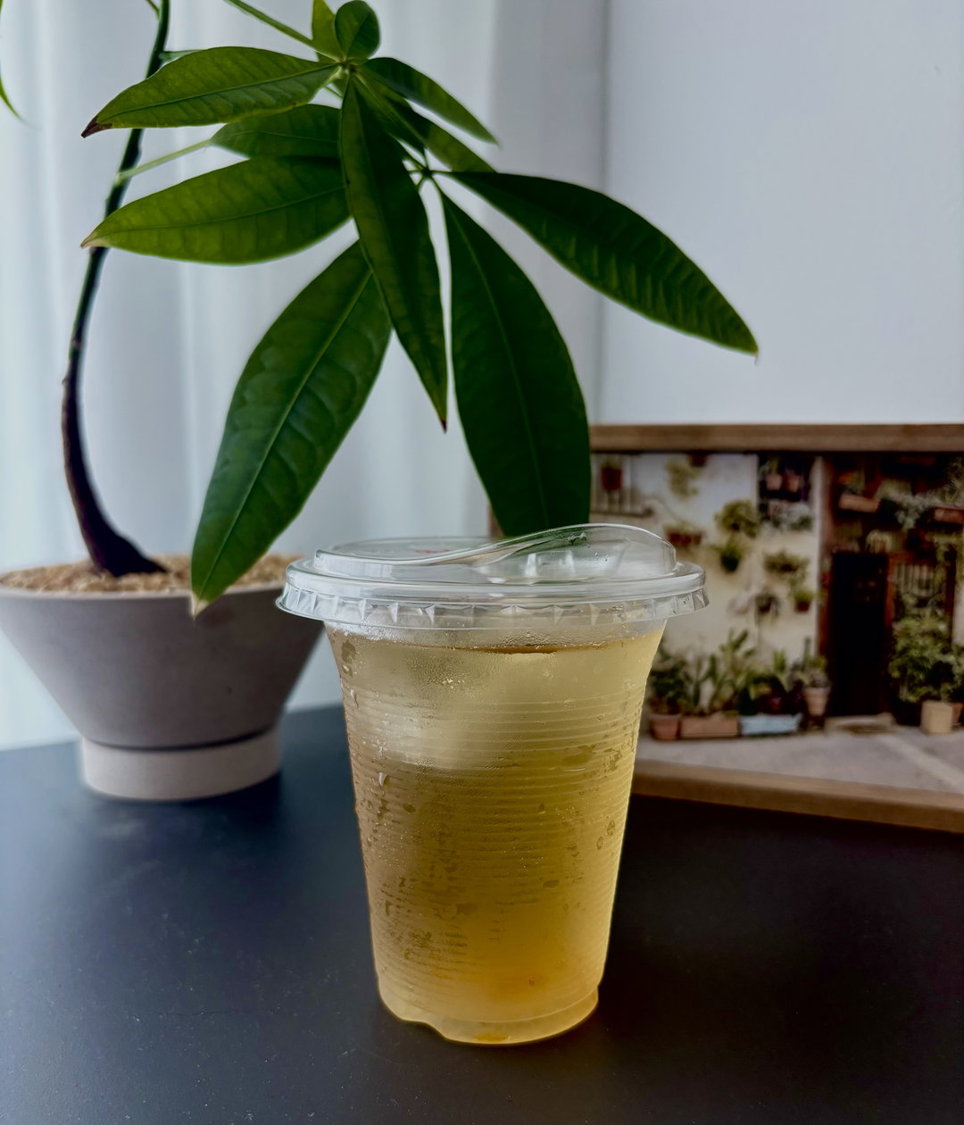 Signature Yuzu Jasmine