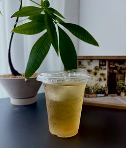 Kombucha cup 