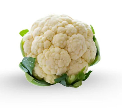 زهرة طازجة