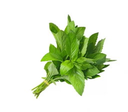 نعناع (حزمة)