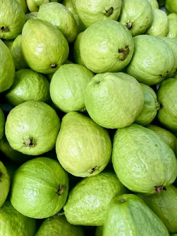 ត្របែក_0