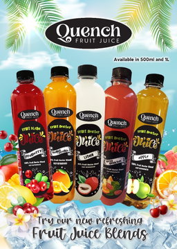 Quench Assorted Fruit Juices 12x500ml 