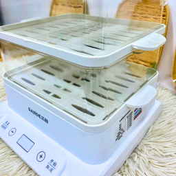 ELECTRIC STEAMER 20L (PENGUKUS)