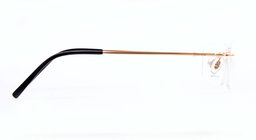 ROSVIN BUGS |STATESMAN |Rimless |Metal |52-17-140