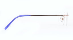 ROSVIN BUGS |STATESMAN |Rimless |Metal |52-17-140