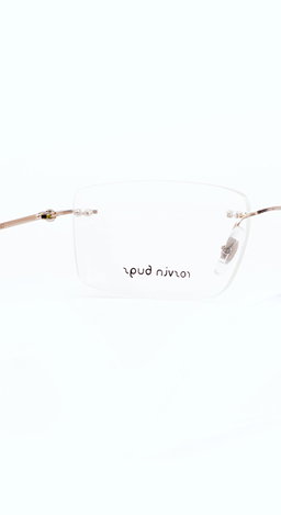 ROSVIN BUGS |STATESMAN |Rimless |Metal |52-17-140