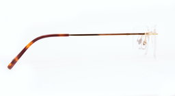 ROSVIN BUGS |STATESMAN |Rimless |Metal |52-17-140
