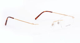 ROSVIN BUGS |STATESMAN |Rimless |Metal |52-17-140