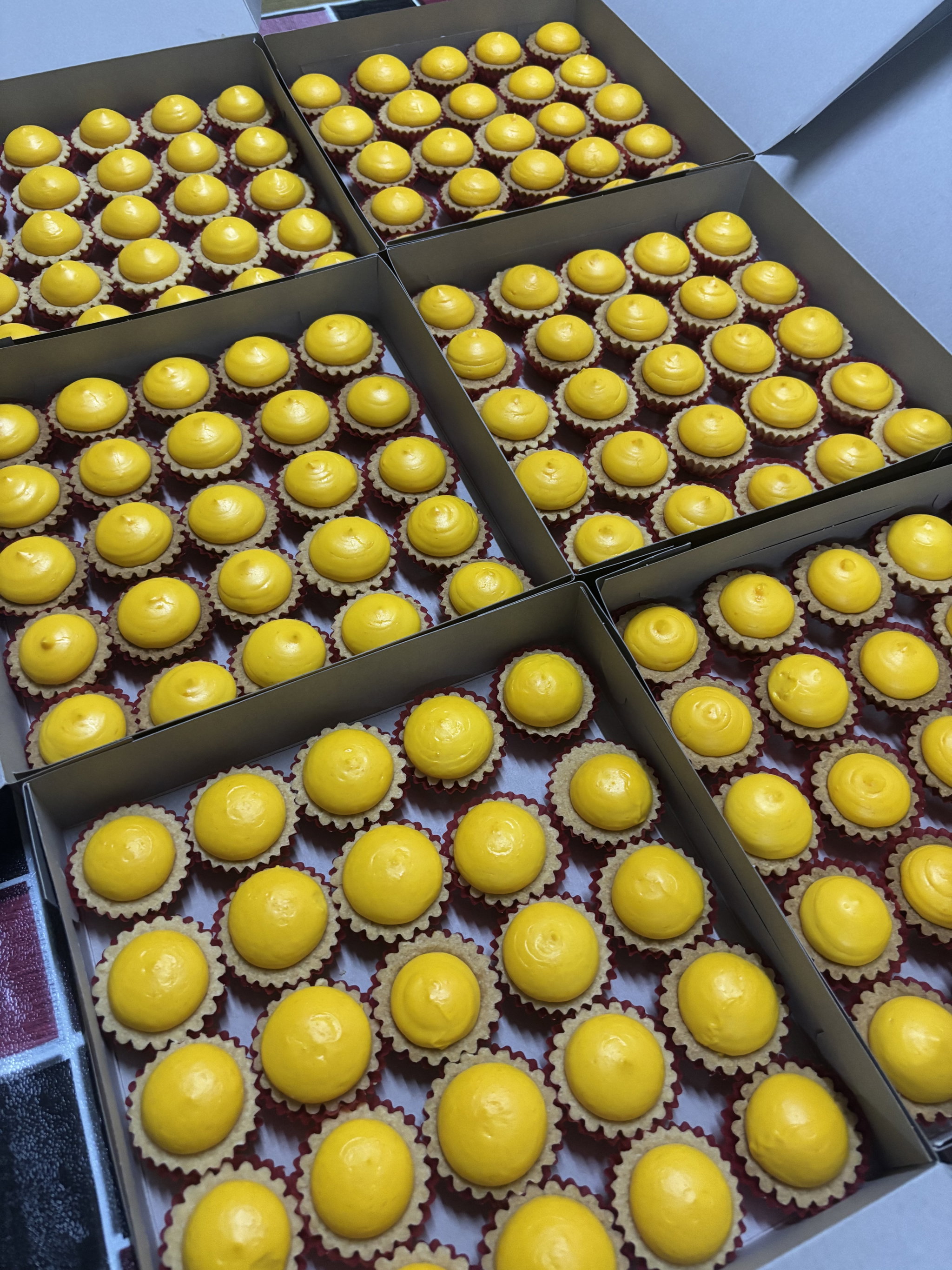 Custard Egg Tart _1