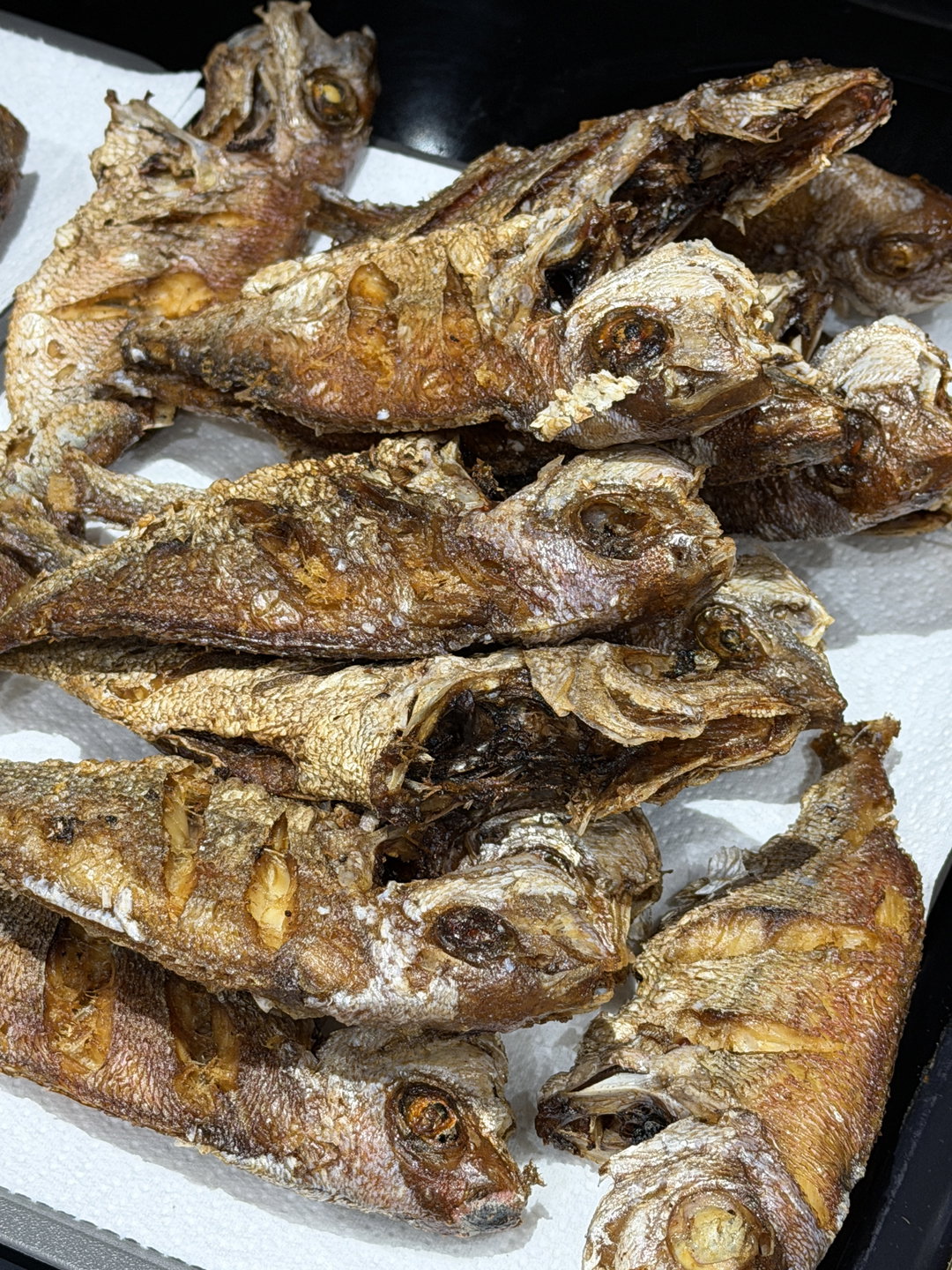 Red Fish - 1 Piece