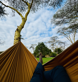 Camping
