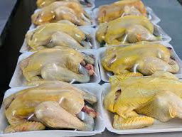 សាច់ទាសំពៅ