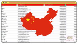 China Business Data