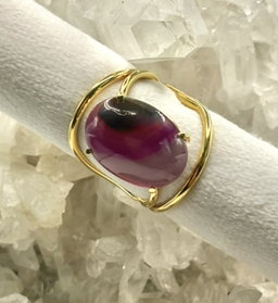 Anillo Leonia