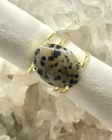 Anillo Leonia_8