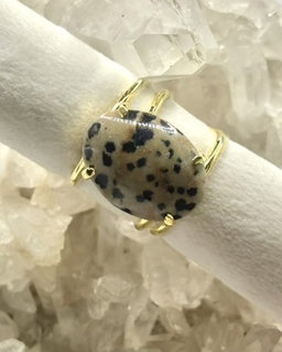 Anillo Leonia