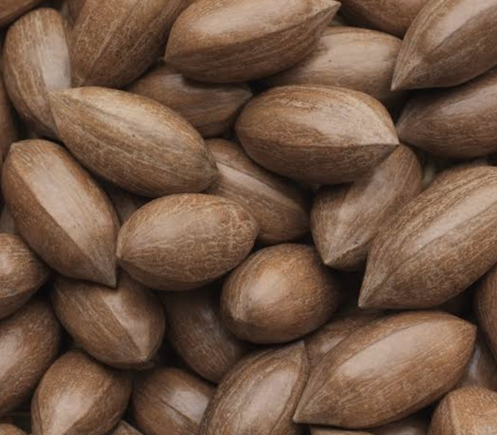 1kg Pecan nuts_0