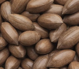1kg Pecan nuts