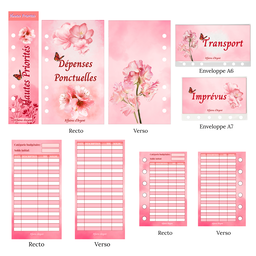 🌸 Collection rose fleurie