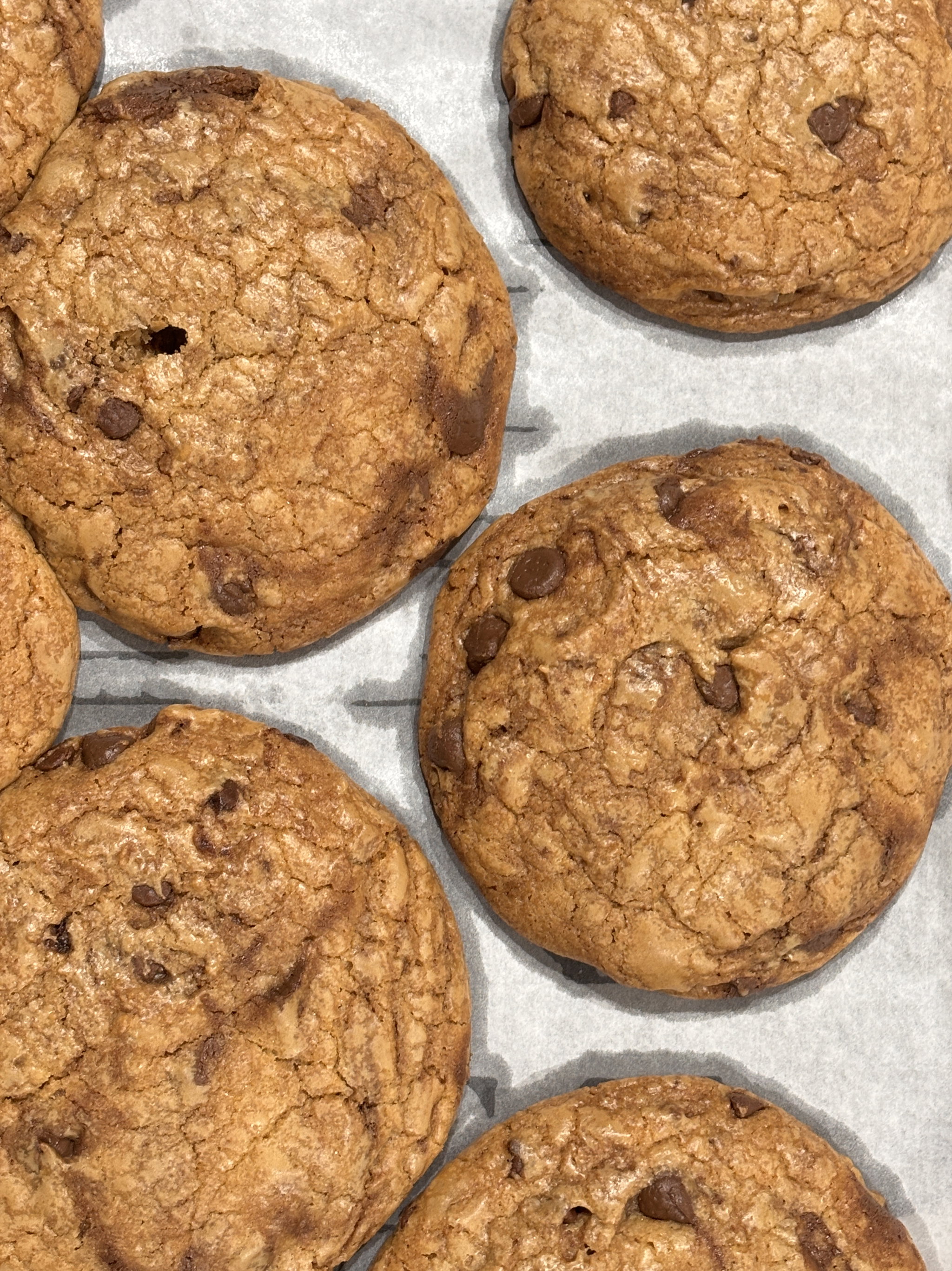 Chocolate Chip Cookies_1