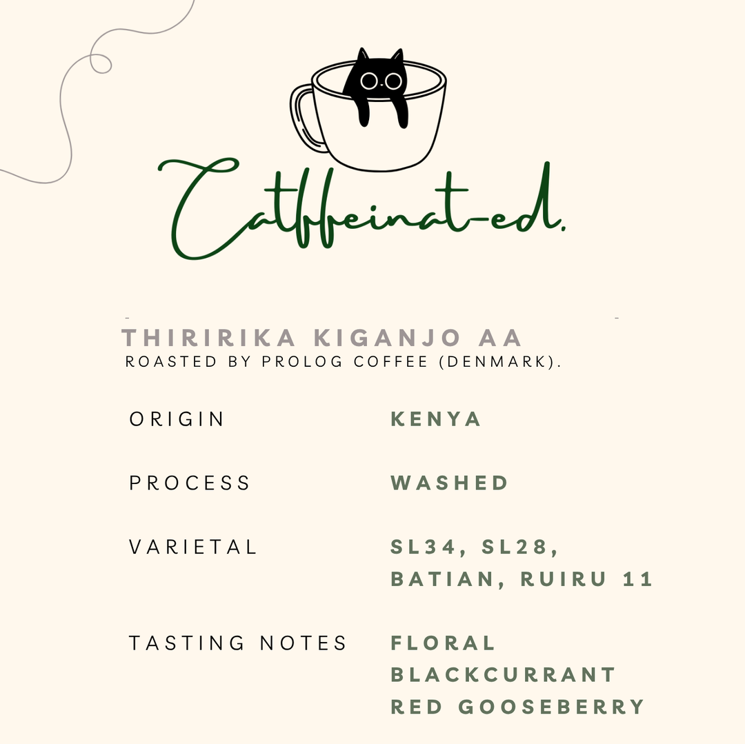 Thiririka Kiganjo AA, Kenya (SL34, SL28, Batian, Ruiru 11, Washed)