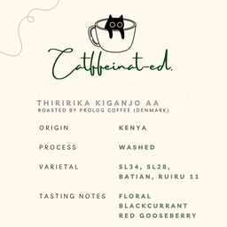 Filter Coffee