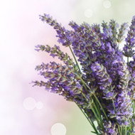 Fragancias velas