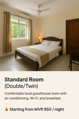 🏨 Accommodation 