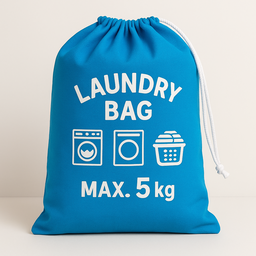 Express Laundry Bali 4 hours