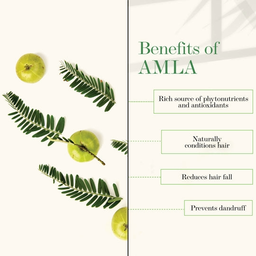 Amla & Shikakai Strengthening Shampoo