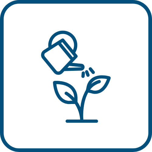 Entretien des plantes_0