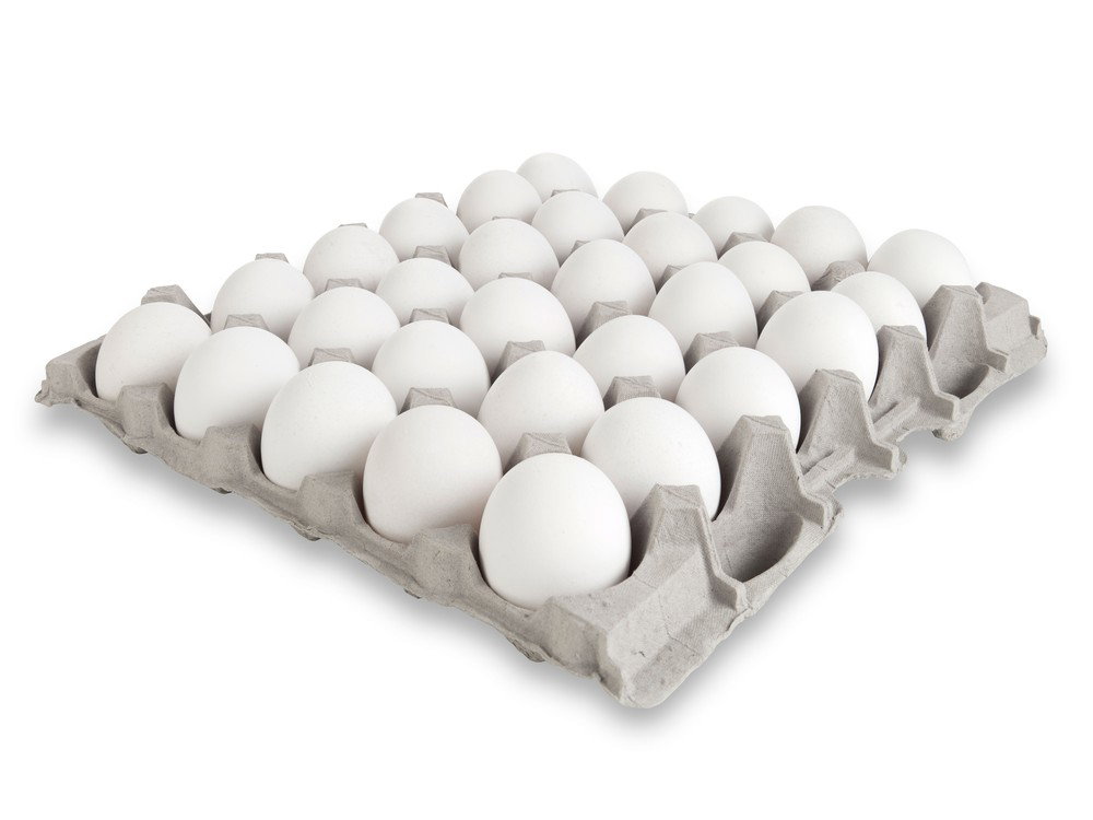 huevos blanco 30 un