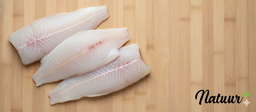 Corvina Pequeña